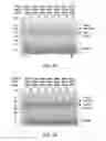 Fig. 32 - COMPLEXING SYSTEM
