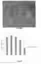 Fig. 49 - Lipid Nanoparticle Compositions and Methods of Making and Using the Same