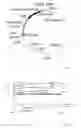 Fig. 02 - Method for the Production of Human Recombinant Lysosomal Enzymes in a Cereal Endosperm