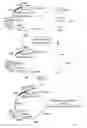 Fig. 08 - Method for the Production of Human Recombinant Lysosomal Enzymes in a Cereal Endosperm
