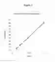 Fig. 04 - Black soybean hull extract, method for obtaining, and use thereof