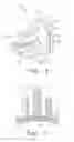 Fig. 02 - COMPOSITE PROSTHETIC BEARING HAVING A CROSSLINKED ARTICULATING SURFACE AND METHOD FOR MAKING THE SAME