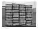 Fig. 01 - CARRIER, FORMULATION AND METHOD FOR THE TREATMENT OF TIMBER
