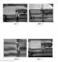 Fig. 03 - CARRIER, FORMULATION AND METHOD FOR THE TREATMENT OF TIMBER