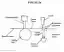 Fig. 05 - APERTURED NONWOVEN FABRIC AND PROCESS AND APPARATUS FOR PRODUCING SAME