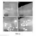 Fig. 06 - Methods of bonding optical structures, bonding and silylation of optical structures, bonded optical structures, and silylated bonded optical structures