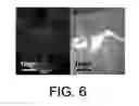 Fig. 07 - Methods of bonding optical structures, bonding and silylation of optical structures, bonded optical structures, and silylated bonded optical structures