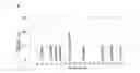 Fig. 05 - Fibrous columnar structure aggregate and pressure-sensitive adhesive member using the aggregate