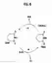Fig. 07 - Fuel cell system and solid polymer electrolyte film
