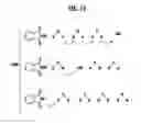 Fig. 14 - Fuel cell system and solid polymer electrolyte film
