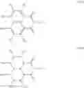 Fig. 33 - Fuel cell system and solid polymer electrolyte film