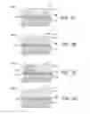 Fig. 05 - Digital electrostatic latent image generating member