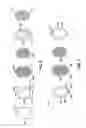 Fig. 06 - Method of determining transport and/or storage parameters for maintaining viability of an organ