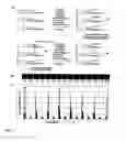 Fig. 09 - DNA sequence with non-fluorescent nucleotide reversible terminators and cleavable label modified nucleotide terminators