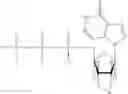Fig. 46 - DNA sequence with non-fluorescent nucleotide reversible terminators and cleavable label modified nucleotide terminators