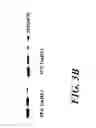 Fig. 09 - Methods for detecting virulent , for evaluating virulence, and for screening new drugs employing the 3′ UTR of SUB2 and the SUB2 serine protease
