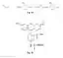 Fig. 02 - Methods of Labeling Proteins