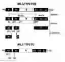 Fig. 01 - Method of Producing Factor VIII Proteins by Recombinant Methods