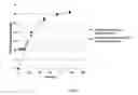 Fig. 04 - Methods and Compositions for Enhanced Production of Organic Substances From Fermenting Microorganisms