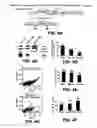 Fig. 06 - Compositions and methods for inhibiting cell migration