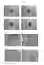 Fig. 04 - Methods of efficiently establishing induced pluripotent stem cells under hypoxic conditions