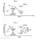 Fig. 02 - Method for detecting nucleotide polymor-phisms using semiconductor particles