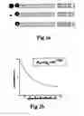 Fig. 03 - Method for detecting nucleotide polymor-phisms using semiconductor particles