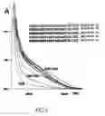 Fig. 06 - Method for detecting nucleotide polymor-phisms using semiconductor particles