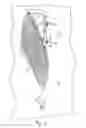Fig. 07 - EXTENSION CORD HOLDER