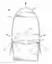 Fig. 01 - Internally mounted watercraft rowing fin system