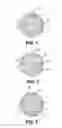 Fig. 02 - Golf ball