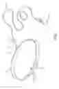 Fig. 02 - Batting training apparatus