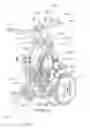 Fig. 10 - Incremental variable transmission