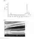 Fig. 02 - Method for synthesizing one-dimensional helical nanoporous structures and method for synthesizing glycine-derived surfactant for synthesizing helical nanoporous structures