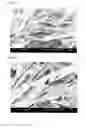 Fig. 04 - Method for synthesizing one-dimensional helical nanoporous structures and method for synthesizing glycine-derived surfactant for synthesizing helical nanoporous structures