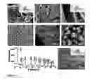Fig. 02 - Nanocomposite support materials