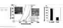 Fig. 07 - Nanocomposite support materials