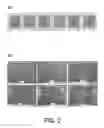 Fig. 03 - CRYOPROTECTIVE AQUEOUS COMPOSITION AND METHODS FOR IMPLEMENTING SAME