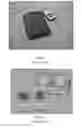 Fig. 04 - APPARATUS AND METHODS FOR APPLICATIONS OF GENOMIC MICROARRAYS IN SCREENING, SURVEILLANCE AND DIAGNOSTICS