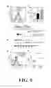 Fig. 10 - POLYMORPHISMS IN THE FCGR2B PROMOTER AND USES THEREOF