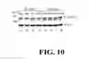Fig. 11 - POLYMORPHISMS IN THE FCGR2B PROMOTER AND USES THEREOF