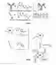 Fig. 02 - Methods and systems for detecting and/or sorting targets