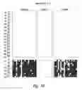 Fig. 20 - Methods and nucleic acids for the analyses of cellular proliferative disorders