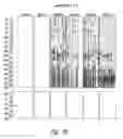 Fig. 30 - Methods and nucleic acids for the analyses of cellular proliferative disorders