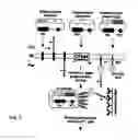 Fig. 08 - Glycosylated protein expression in prokaryotes