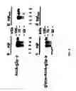 Fig. 09 - Glycosylated protein expression in prokaryotes