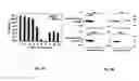 Fig. 10 - Glycosylated protein expression in prokaryotes
