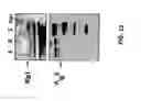 Fig. 13 - Glycosylated protein expression in prokaryotes