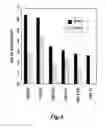 Fig. 15 - cDNA Synthesis Using Non-Random Primers