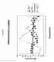 Fig. 14 - siRNA targeting connective tissue growth factor (CTGF)